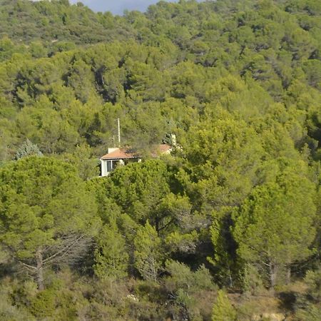 La Petite Cigale Villa Cesseras Kültér fotó