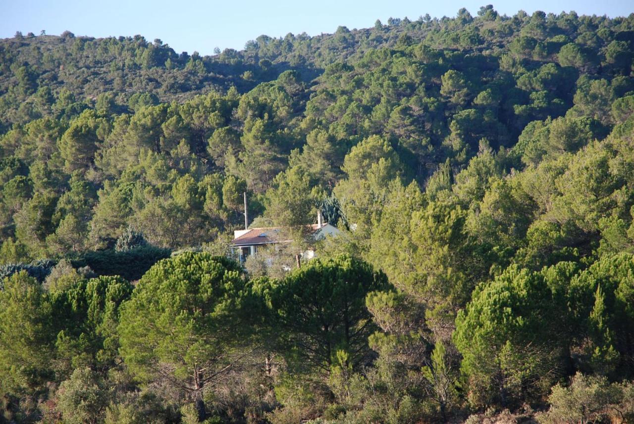 La Petite Cigale Villa Cesseras Kültér fotó