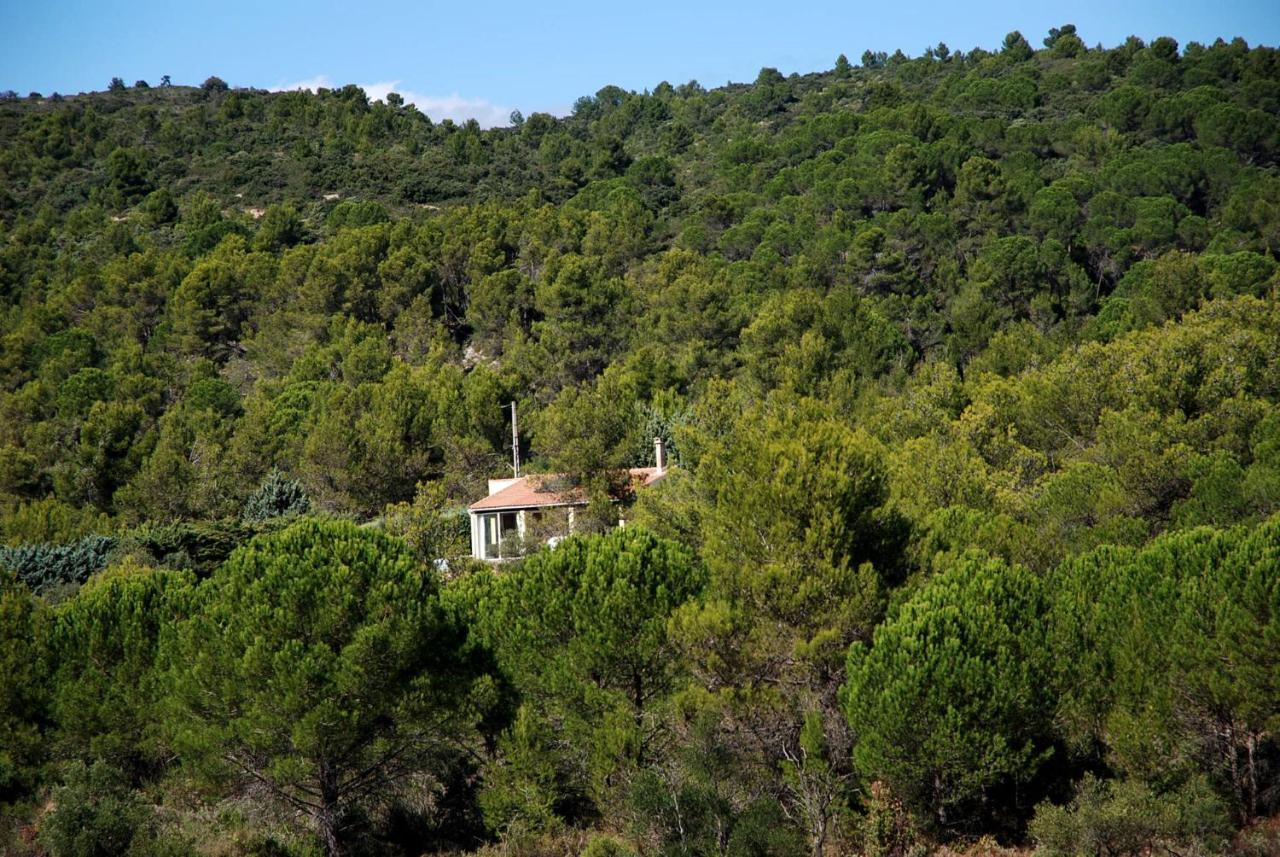 La Petite Cigale Villa Cesseras Kültér fotó