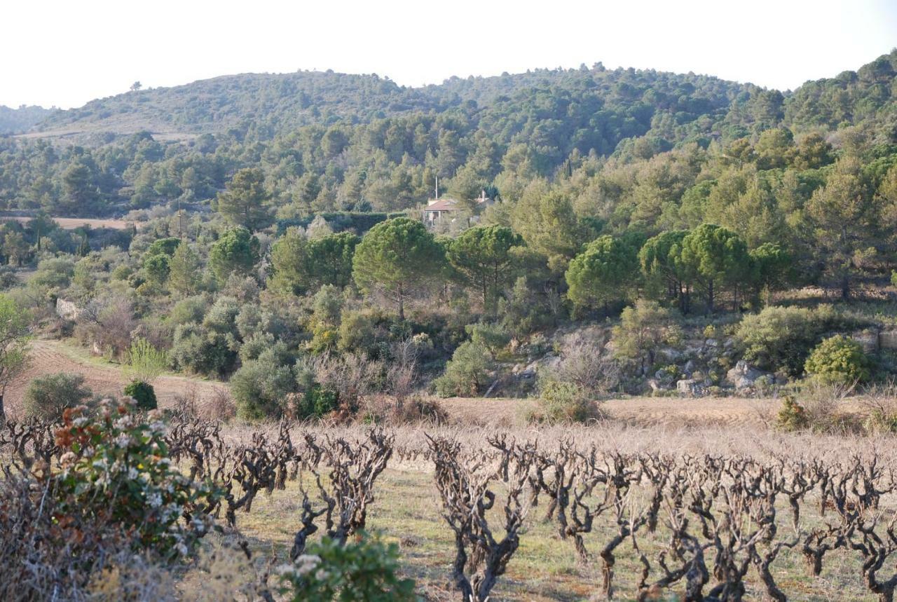 La Petite Cigale Villa Cesseras Kültér fotó