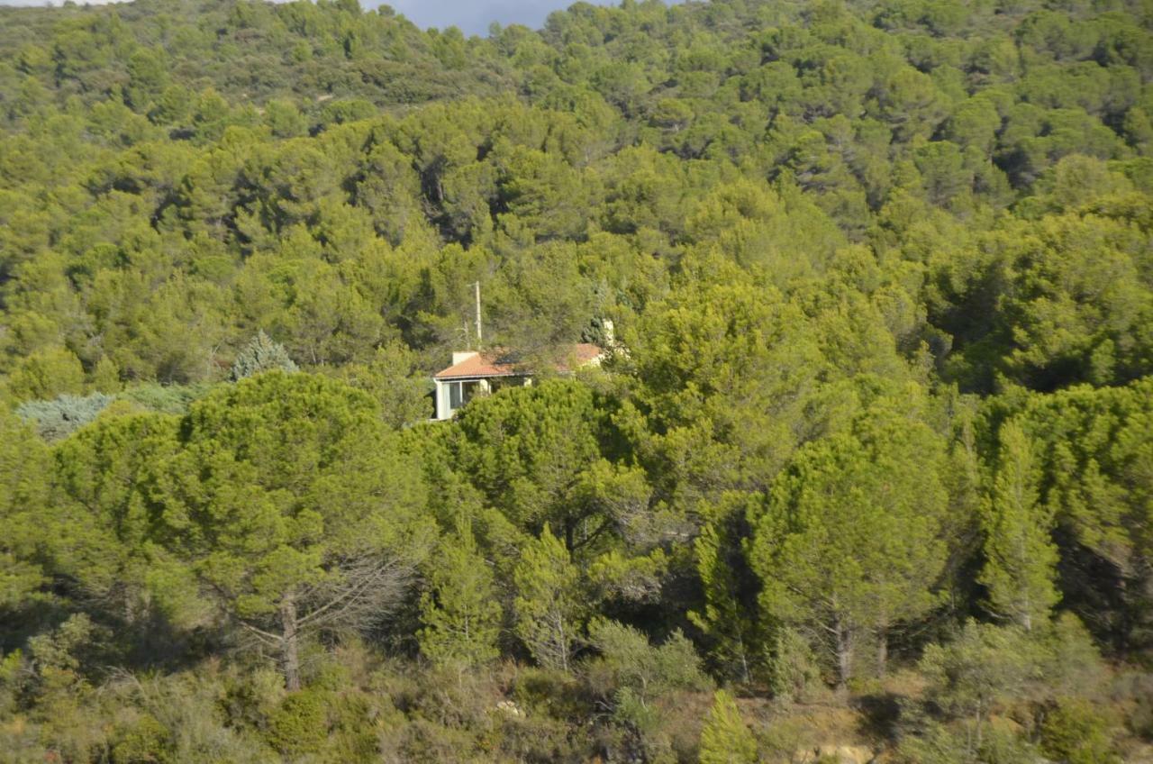 La Petite Cigale Villa Cesseras Kültér fotó